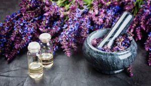 خواص مریم گلی و اثرات درمانی آن