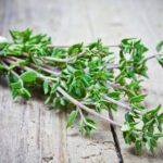 خواص آویشن برای عفونت