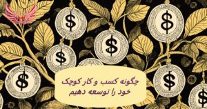 چگونه کسب و کار کوچک خود را توسعه دهیم