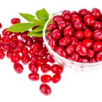 خواص زغال اخته | طبع، فواید و مضرات زغال اخته چیست؟