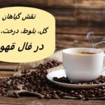 تعبیر و تفسیر گیاهان در فال قهوه
