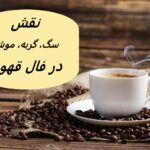 تعبیر سگ، گربه، موش در فال قهوه