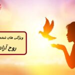 شخصیت روح آزاد چیست؟ 27 از صفات برتر