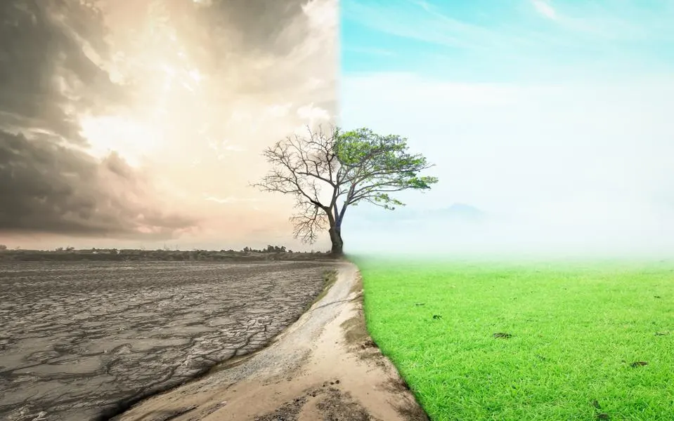 چگونه ذهنیت فراوانی ایجاد کنیم