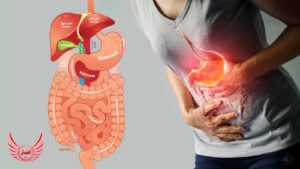 اگر از شکایات رایج گوارشی (هضم) مانند نفخ یا سوء هاضمه رنج می برید، می دانید که آنچه می خورید – و زمانی که آن را می خورید