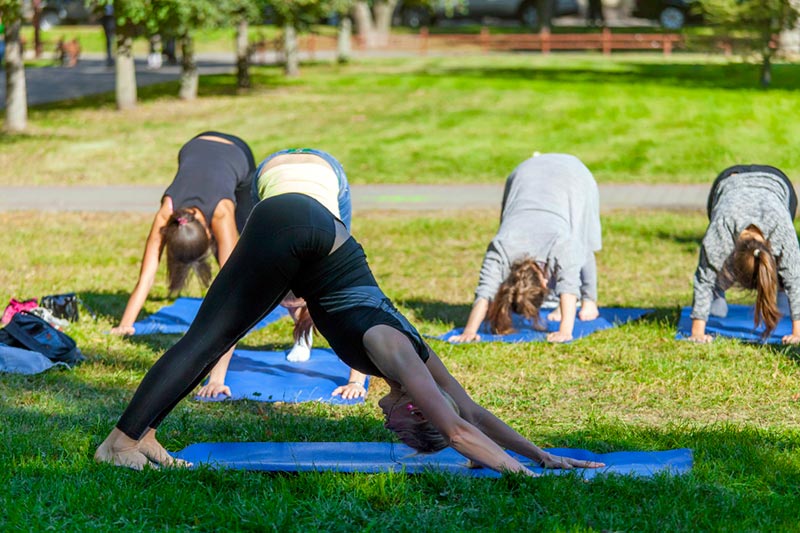 8 بهترین حالت یوگا برای سینوزیت – چگونه در خانه انجام دهیم