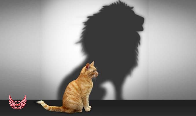 1. اعتماد به نفس (Self-Confidence) - اعتماد به نفس: محصول فرآیند توسعه فردی