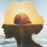 مدیتیشن و توسعه فردی: ساختن بهترین نسخه از خودتان