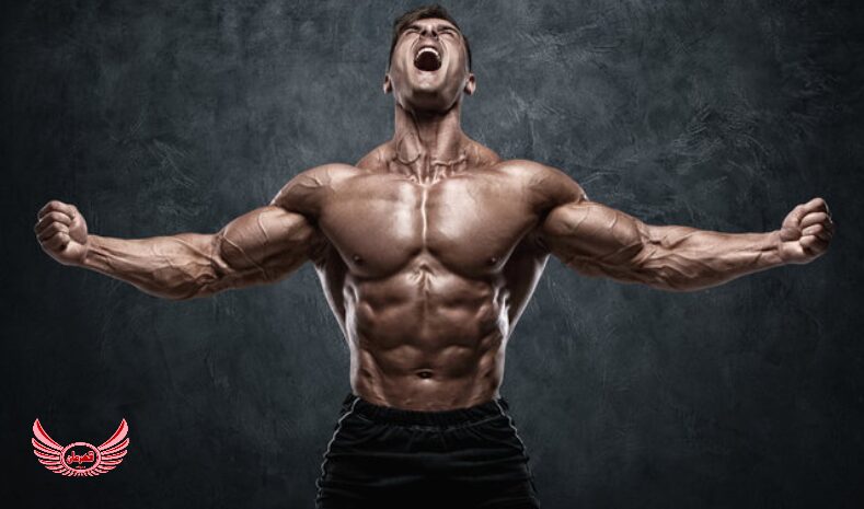 ستونهای اصلی یک برنامه بدنسازی حجمی مؤثر