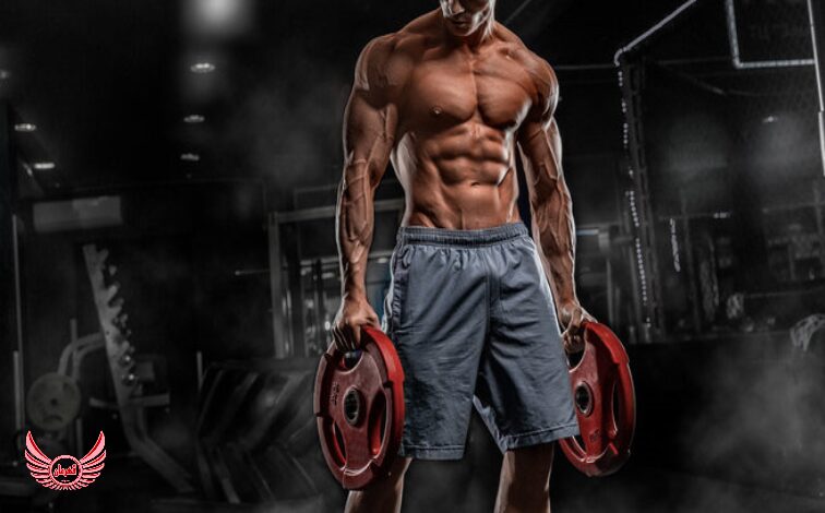 چرا هر ورزشکاری نمیتواند یک برنامه بدنسازی حرفه ای را اجرا کند؟