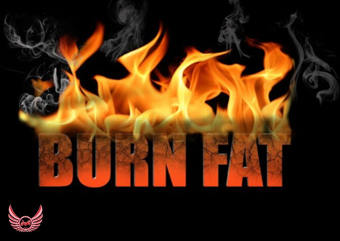 ارکان طلایی یک برنامه بدنسازی چربی سوزی مؤثر