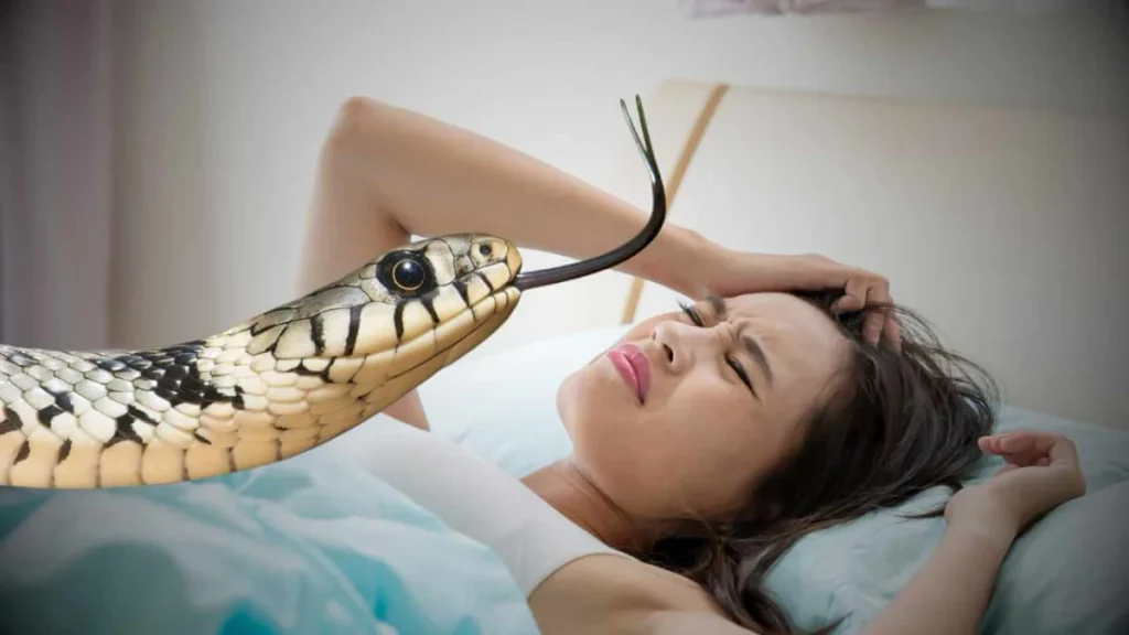 تعبیر خواب مارگزیدگی بر اساس محل گزش